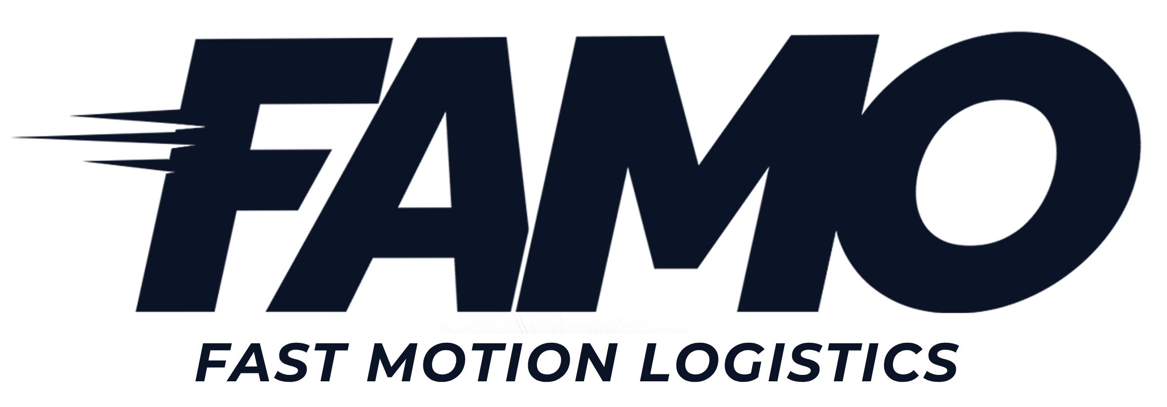 Fast Motion Logistics